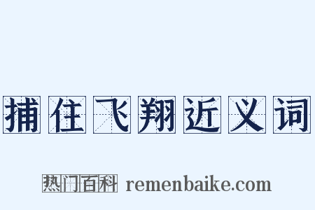 捕住飞翔近义词是什么意思的图片